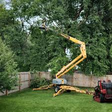 Best Residential Tree Removal  in USA